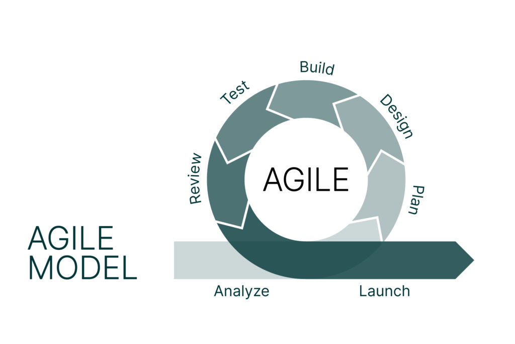 Agile Pro-Fit - COCKPIT CONSULTING